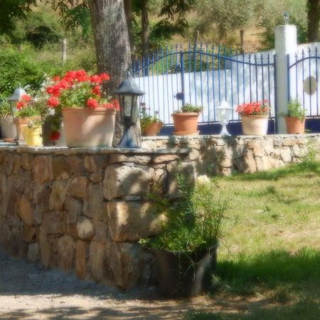 Ernella Hotel Aleria  Bagian luar foto